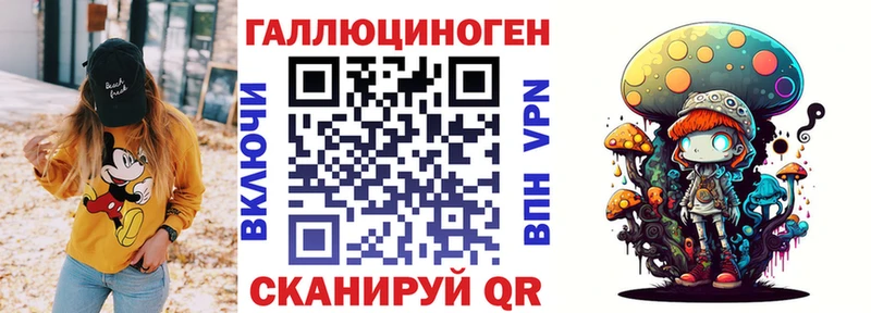 Псилоцибиновые грибы Psilocybe  Купить где  Белоозёрский 